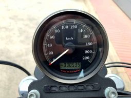 HARLEY-DAVIDSON SPORTSTER XL 883R DE 2010 IMPECABLE