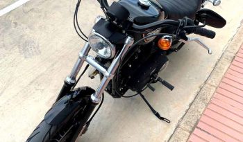 sportster-xl-883-r-2010-segunda-mano-9